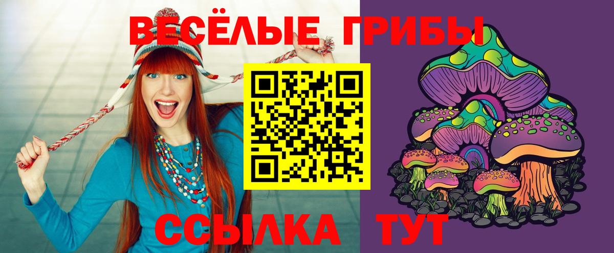 Среднеуральск  Псилоцибиновые грибы прущие грибы  Вход с VPN  Галлюциногенные грибы Magic Shrooms 